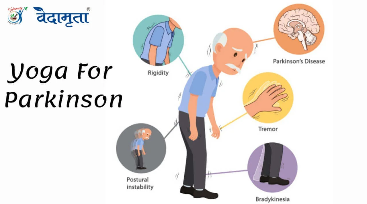 6 Helpful Hand Exercises for Parkinson's: Calm Tremors, Improve Handwriting  & Flexibility - YouTube