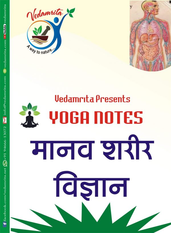 Explore Human Anatomy(मानव शरीर विज्ञान) Yoga Notes - Vedamrita