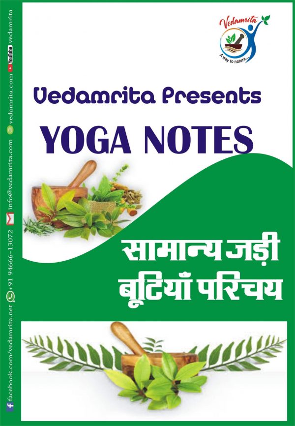 सामान्य जड़ी-बूटियाँ परिचय (Hindi) | Yoga Notes | Vedamrita