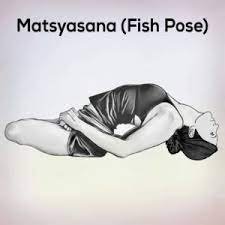 matsyasana