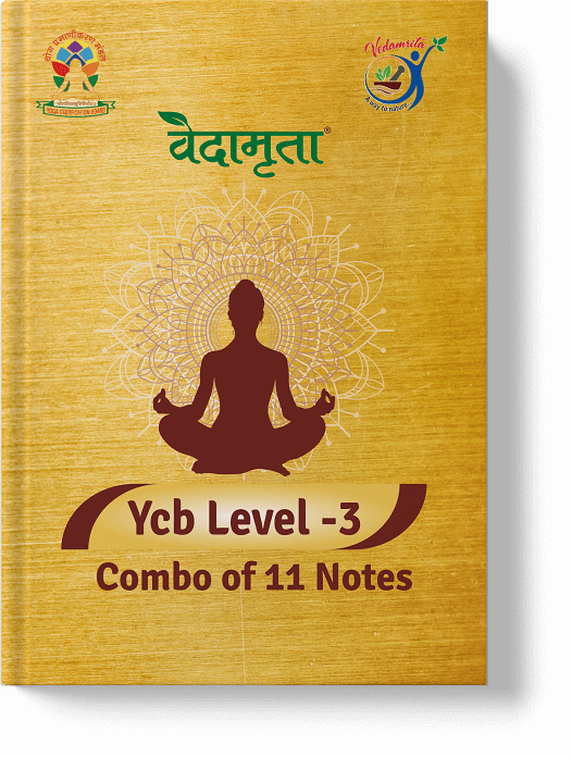 YCB Level-3 Notes