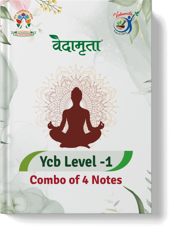 YCB Level-1 Notes