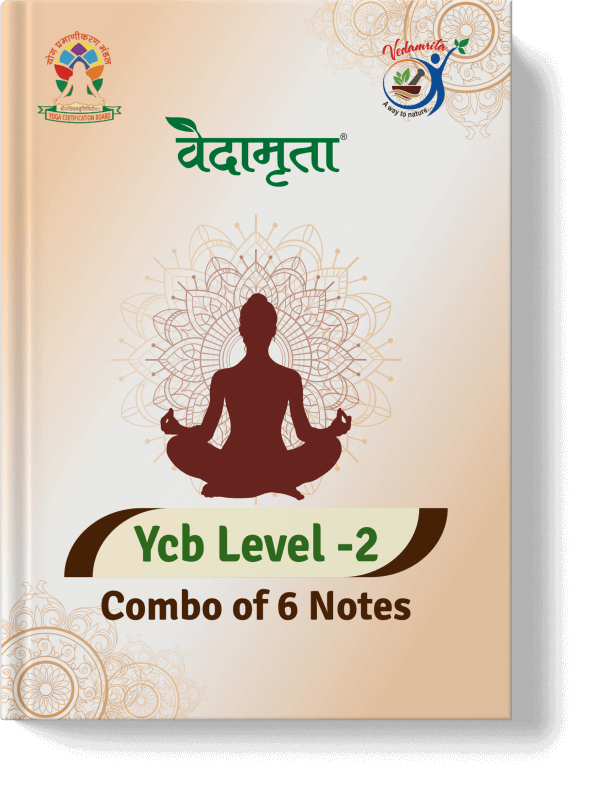 YCB Level-2 | Combo of 6 Notes (Hindi) | Vedamrita