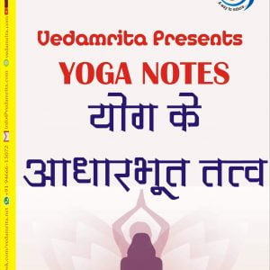योग के आधारभूत तत्व (Hindi)