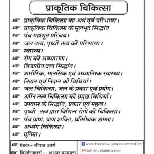 प्राकृतिक चिकित्सा (Hindi) | Yoga Notes - Image 2