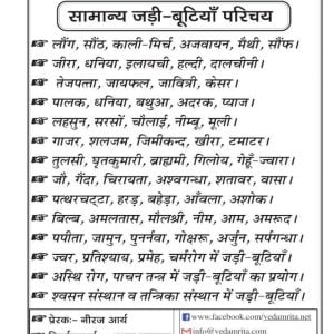 सामान्य जड़ी-बूटियाँ परिचय (Hindi) | Yoga Notes - Image 2